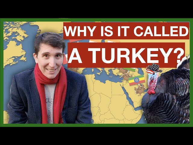Why is a turkey called a turkey?