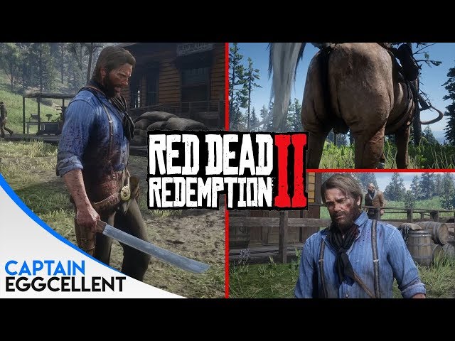 15 INCREDIBLE Details In Red Dead Redemption 2 - Part 2