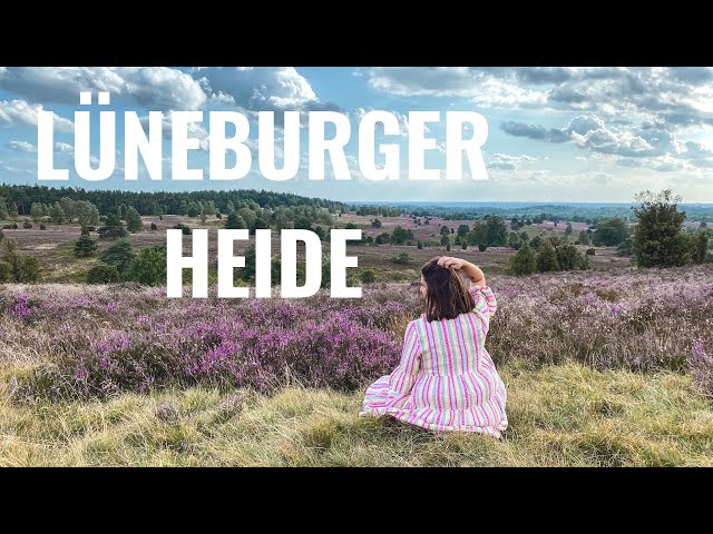 LÜNEBURGER HEIDE | Heideblüte, Sehenswürdigkeiten & Tipps