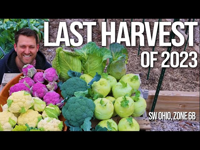 The last harvest of 2023 - Nov 26th - SW Ohio Zone 6b
