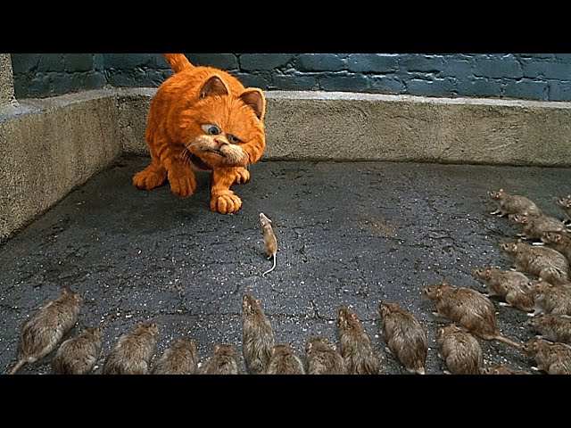 القط رفض انه يأكل الفأر ولذلك الفأر عاد وأنقذ حياة القط من مئات الفئران