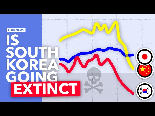 South Korea’s Fertility Rate Hits 0.68: What Next?