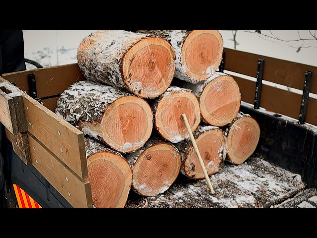 $6 DIY Hack To Cut Perfect Firewood