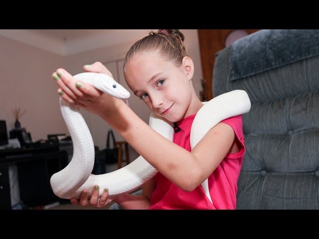 9-Year-Old Snake Handler Krista Guarino