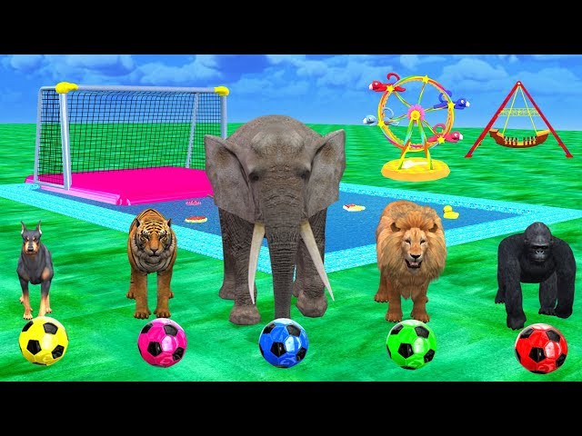 Cartoon Animals Playing Soccer Balls - Wild Animals In Outdoor Playground In Swimming Pool For Kids