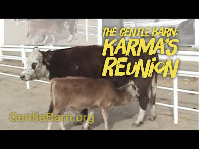 The Gentle Barn: Karma's Reunion