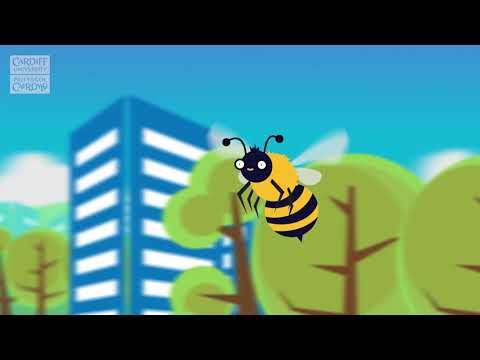 bees