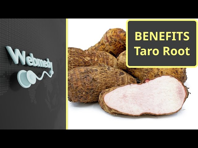 Health Benefits of Taro Root