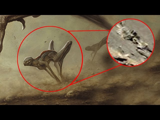 5 Aliens Life Forms on Moon and Mars  Caught By NASA