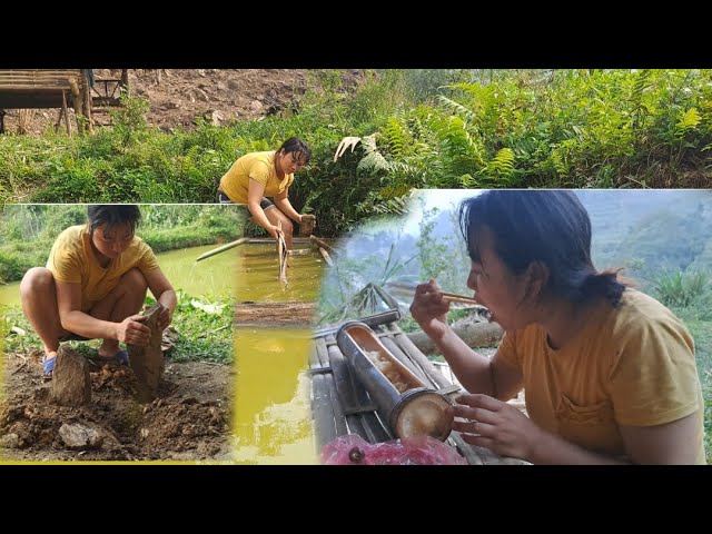 A single woman cuts trees to bring water to boil and eat snails
