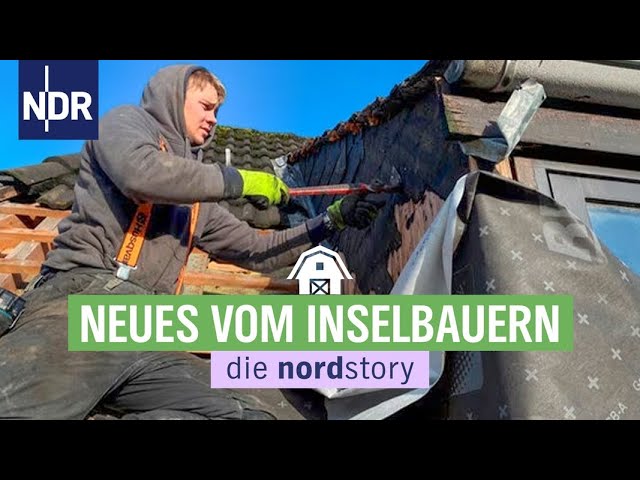 Die Inselbauern von Amrum als Bauherren | die nordstory | NDR