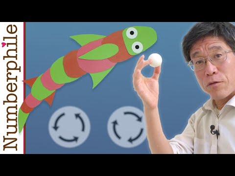 How do fish swim so quickly?