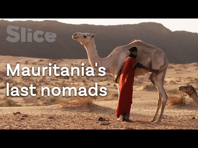 The Adrar's last nomadic shepherds | SLICE