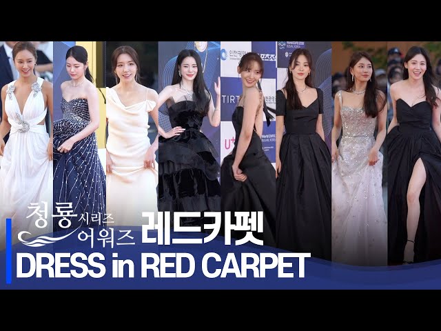 [Blue Dragon Series] Who is the Best-Dressed Star?