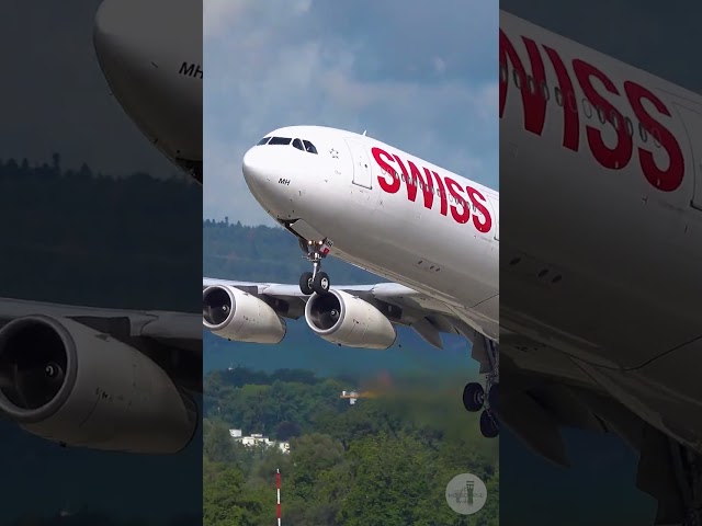 LOUD SWISS Airbus A340-300 Takeoff at Zurich International Airport [ZRH/LSZH] #shorts