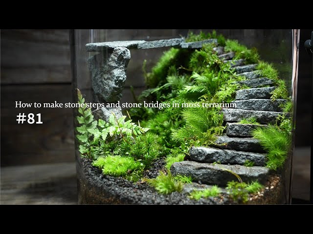 How to make stone steps and stone bridges in moss terrarium #81