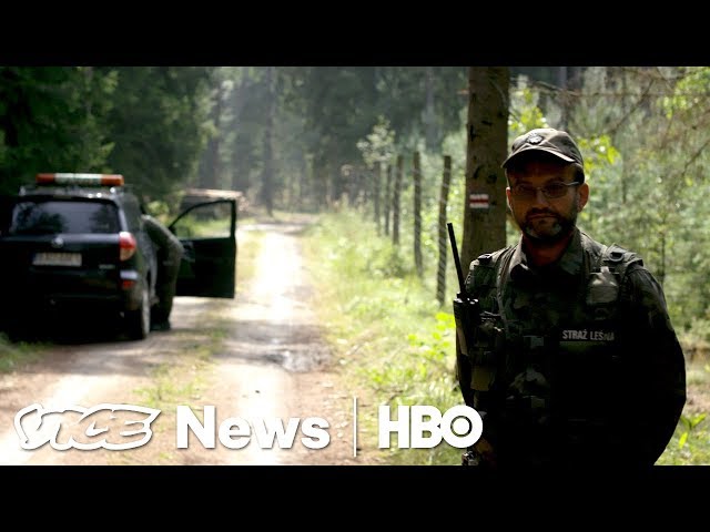 Poland Is Fighting With The EU Over Europe's Oldest Forest (HBO)
