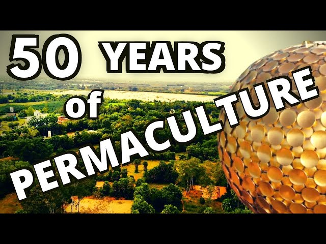 India's Water Revolution #7: 50 YEARS of Permaculture @ Auroville