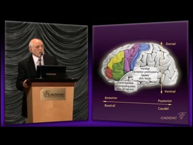 The Neuroanatomy of ADHD and thus how to treat ADHD - CADDAC - Dr Russel Barkley part 1c