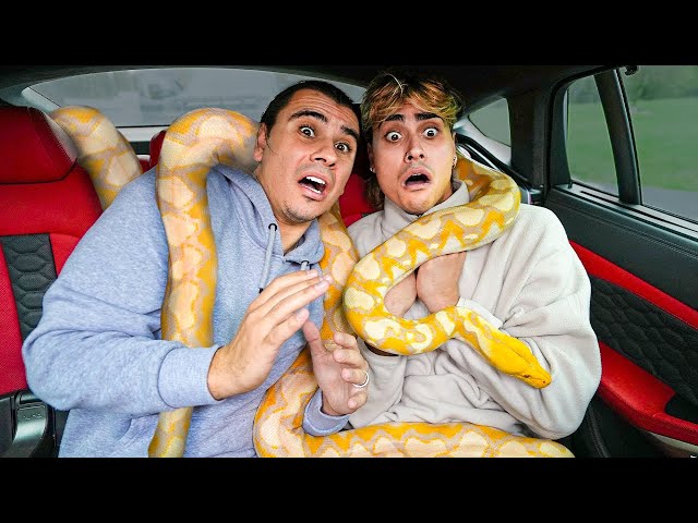We CAUGHT A Giant Snake Living In My Car!