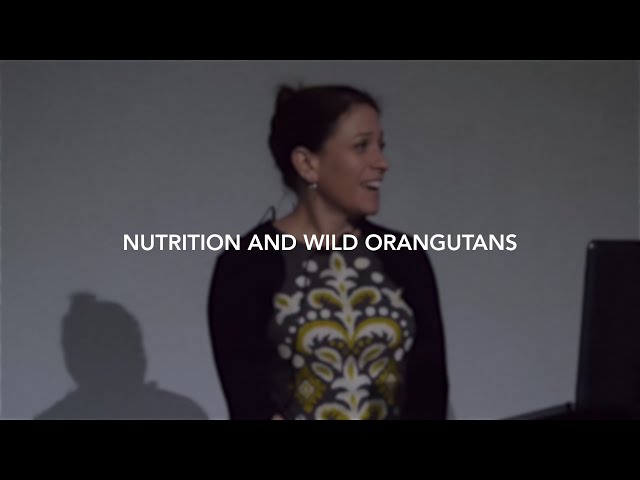 Nutrition and Wild Orangutans | Erin Vogel