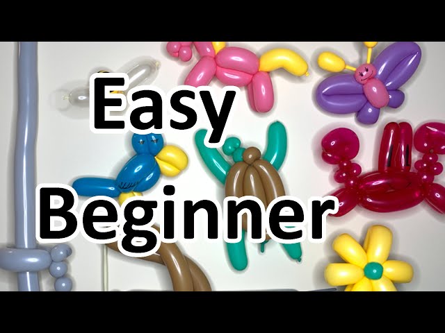 Balloon Twisting Basics (Beginner Intro)