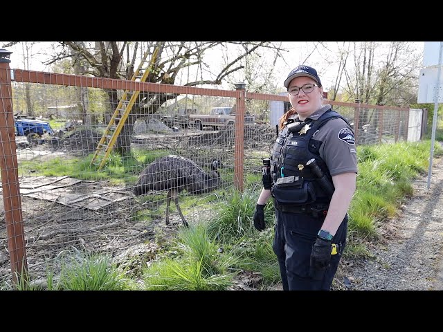 RIDE ALONG with Animal Control Officer Leah-Marie Whitman