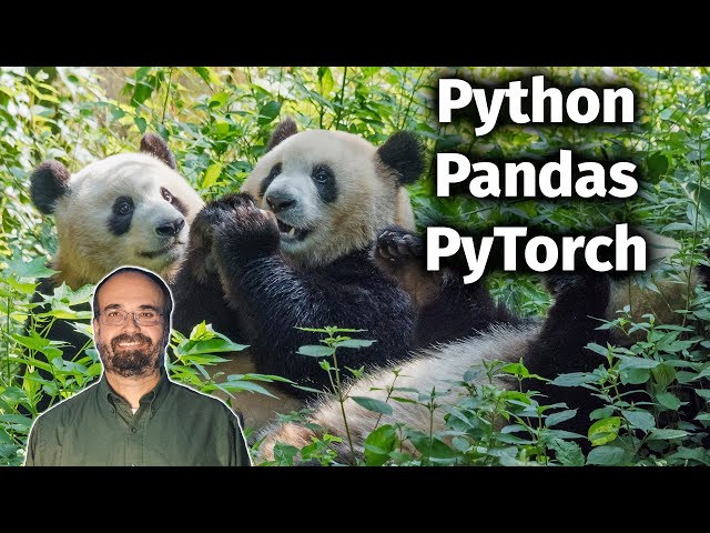 Introduction to Pandas for PyTorch Deep Learning (2.1)