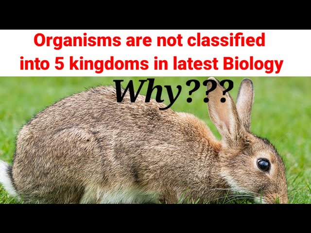 Why organisms are not classified into 5 kingdoms in latest Biology? Animal| Fungi|Plant| NEET| MDCAT