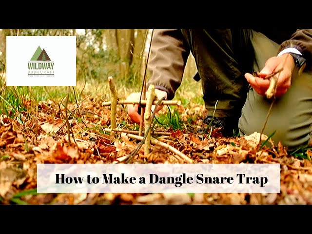 How To Make Dangle Snare Trap - Bushcraft Traps and snares.