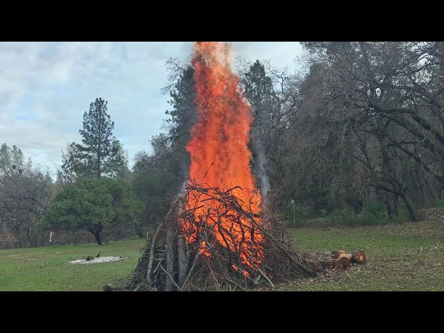 Burn Piles: Using Fire as a Tool