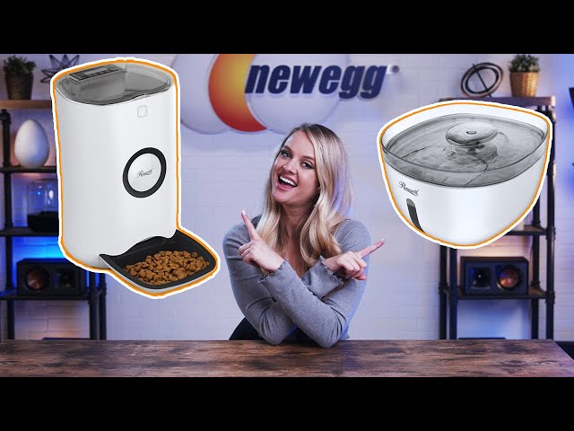 Your Pets WON'T Miss You! - Rosewill Automatic Pet Feeder (Unbox This!)