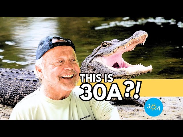 Jungle Adventure on 30A!⎪River Tour with Captain Andy