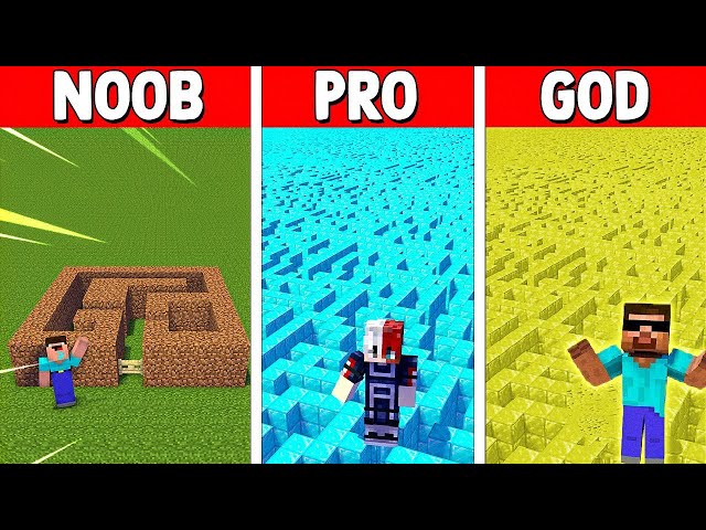 NOOB vs PRO - SECRET MAZE CHALLENGE in Minecraft