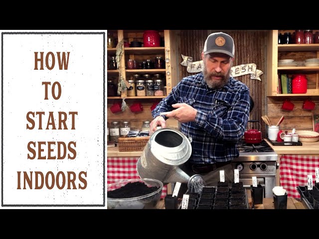 HOW TO START SEEDS INDOORS (WHAT, WHEN, WHY & HOW)