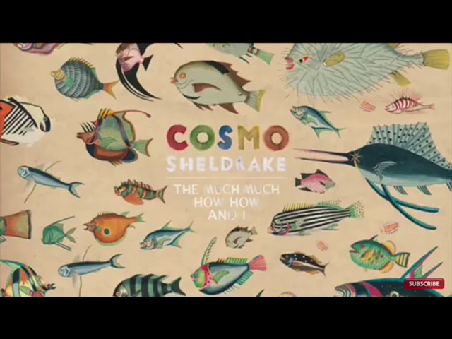 Cosmo Sheldrake - Birthday Suit - 1 Hour