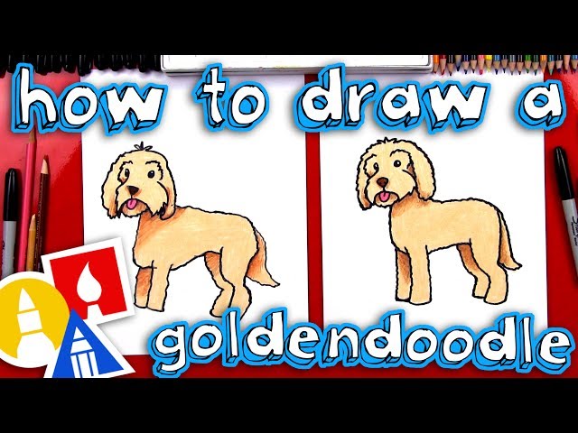 How To Draw A Goldendoodle