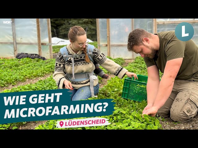 Microfarming: Landwirtschaft auf kleinster Fläche | WDR Lokalzeit Land.Schafft.