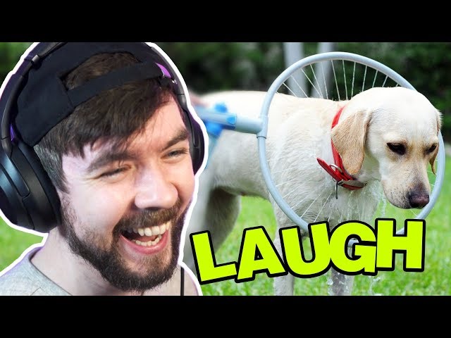 What Are They DOING To That Poor Dog? - Jacksepticeyes Funniest Home Videos