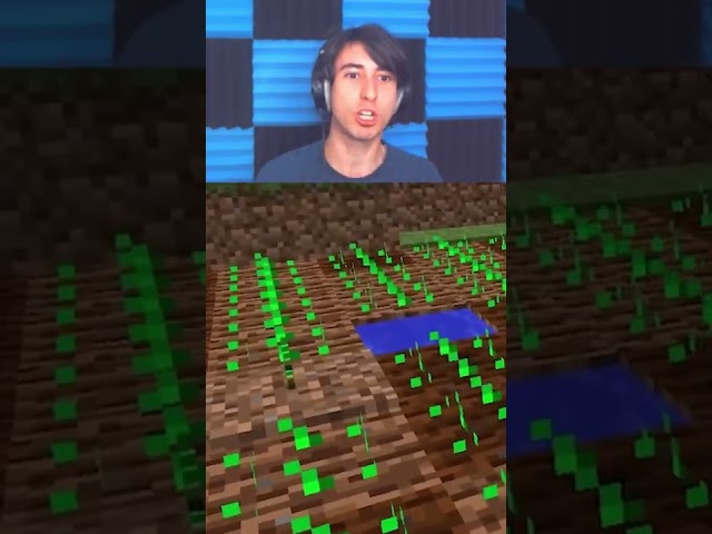 All your minecraft pain in 1 video