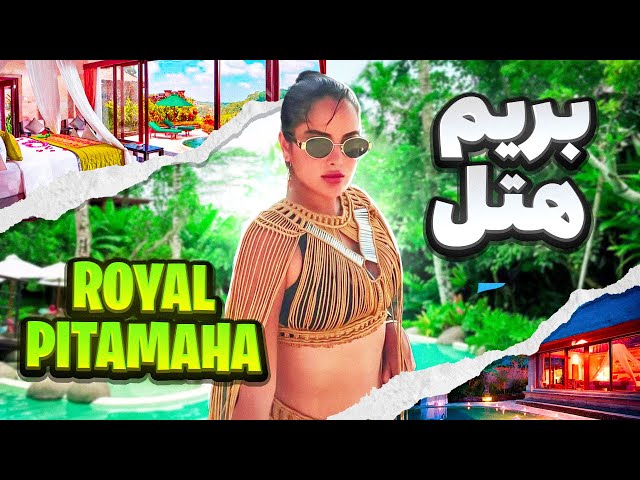🌴✨بریم رویال پیتاماها -Royal Pitamaha ✨🌴