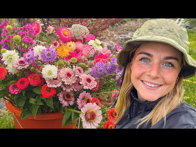 A Week In The Life Of A British Flower Farmer {Can I Sell Out This Week?}