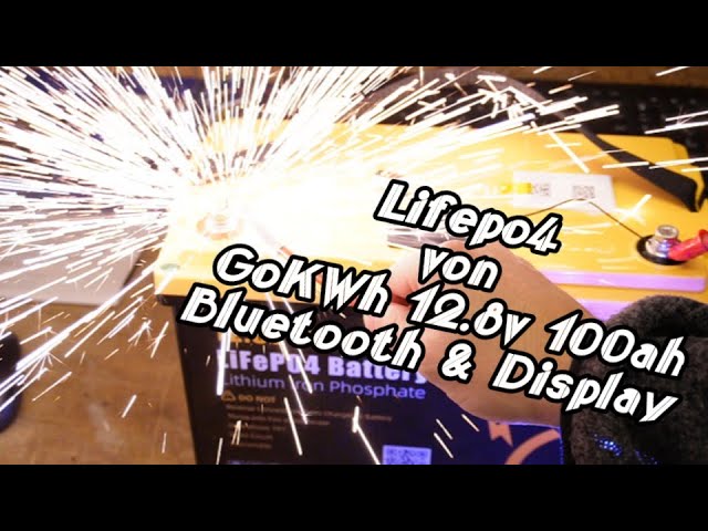 GoKWh Lifepo4 🔋🔋🔋12.8v 100Ah Testen und Zerlegen ⚙️⚡🪫🔋inkl Display und Bluetooth 📱
