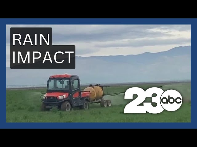 How rain affects the agriculture industry