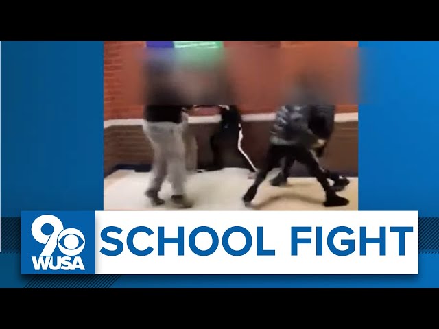 Large fight at Virginia high school leaves 8 students facing charges