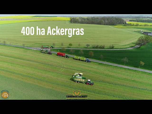 Auf los gehts los! Lohnauftrag 400 ha Ackergras & Grünroggen häckseln LU Timo Mücke Grasernte 2022
