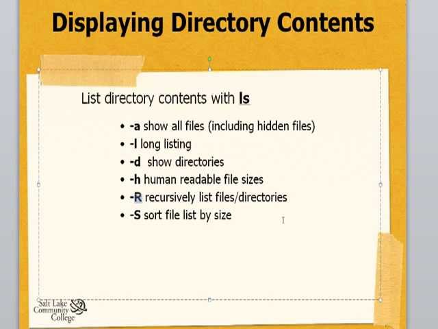 Viewing Directory Content with the ls command