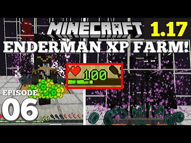 Enderman XP Farm Minecraft 1.17 - EASY Design! #6