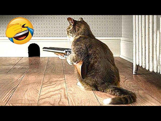 New Funny Videos 2024 😍 Cutest Cats and Dogs 🐱🐶 Part 70