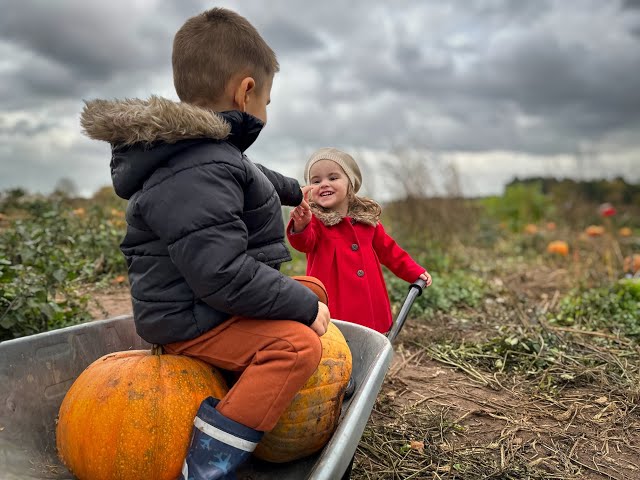 Casian & Anastasia's first pumpkin picking day 💞